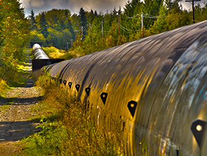 Puntledge Pipeline - Courtenay, BC
