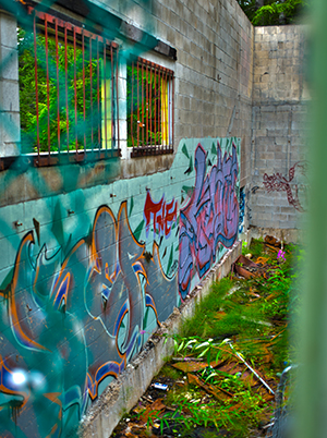 Grafitti - Forbiden Platue, BC