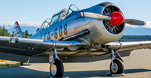 USAF Night Train - Comox Air Show, 2013