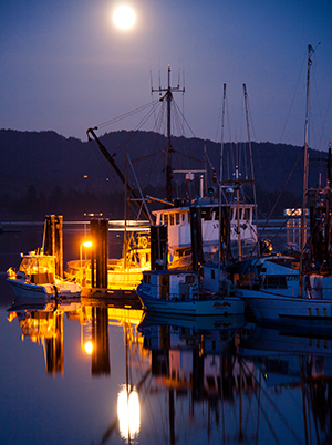Sooke Harbour - Vancouver Island, BC